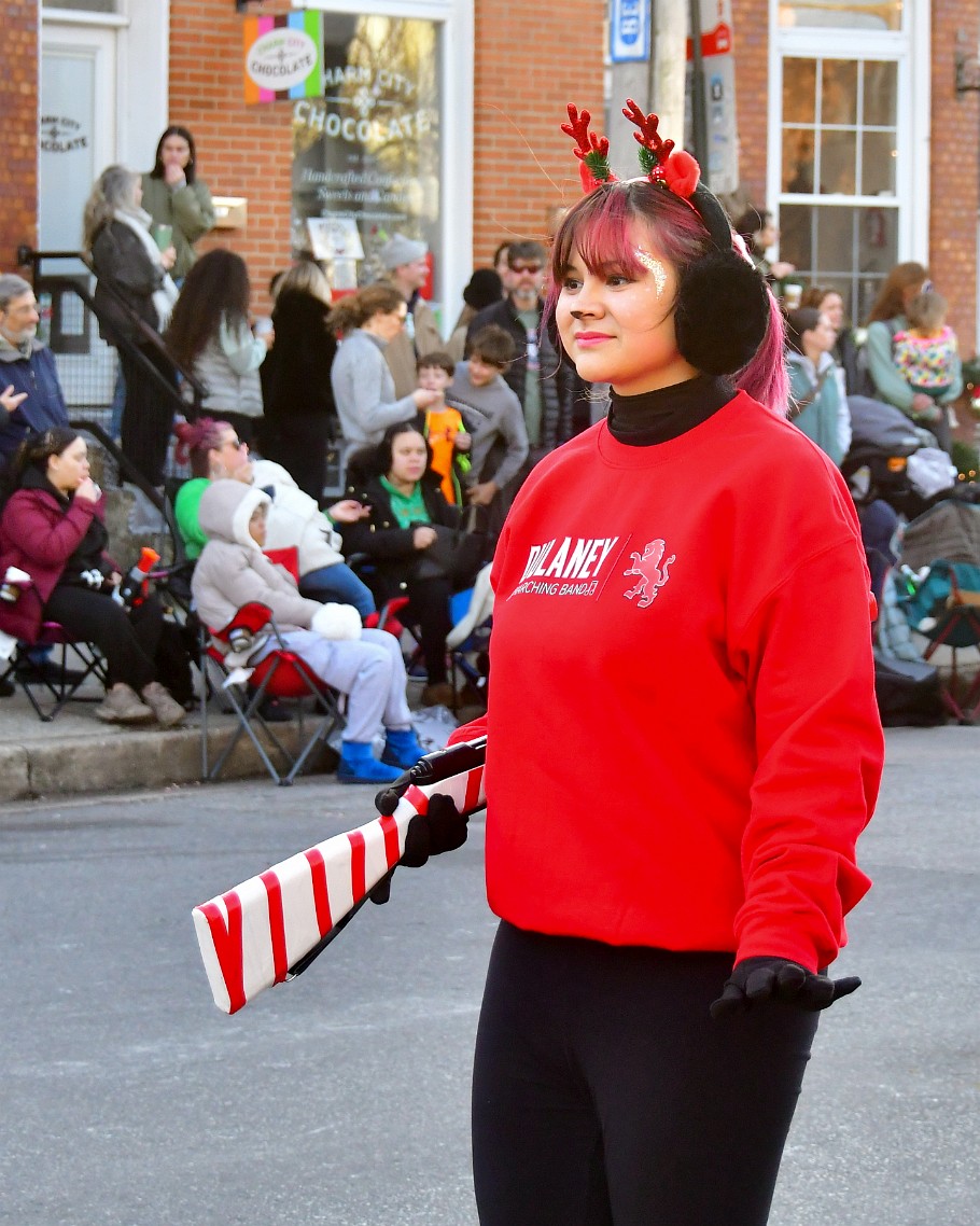 Sparkly Reindeer of the Dulaney High School Band