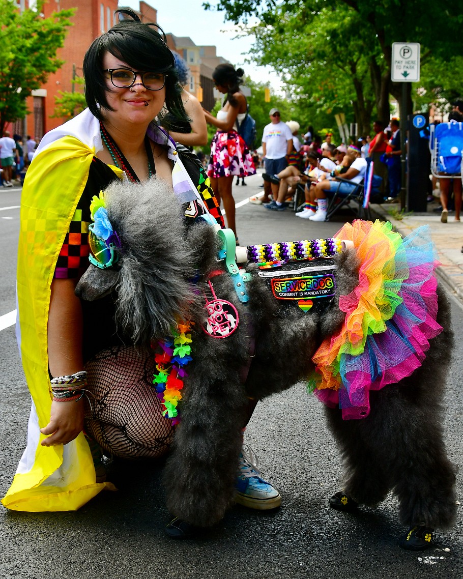 Fantastic Human and Canine