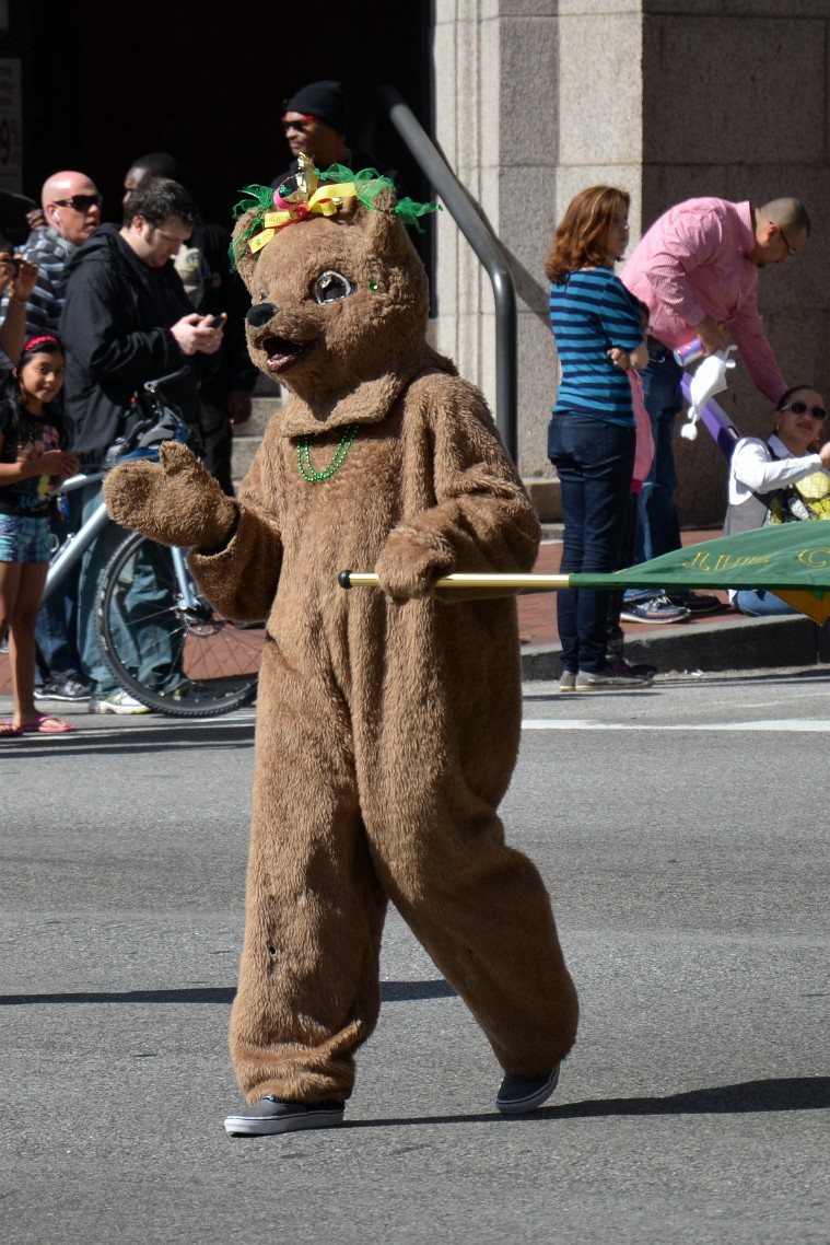 Bear Furry From The Catholic High School of Baltimore Bear Furry From The Catholic High School of Baltimore