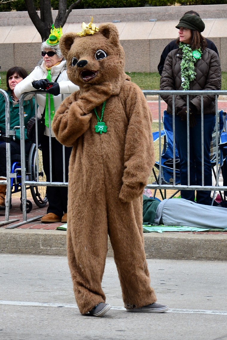 Bear of the Catholic High School of Baltimore Bear of the Catholic High School of Baltimore