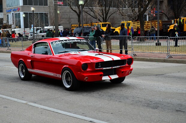 Mustangs
