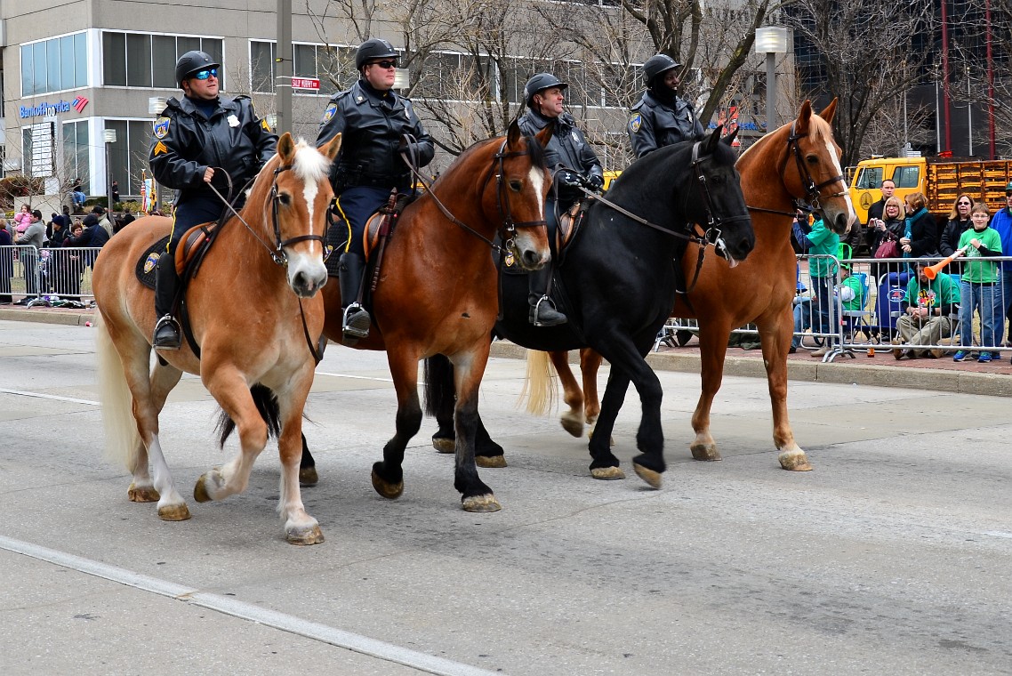 Mounted Baltimore City Cops Mounted Baltimore City Cops